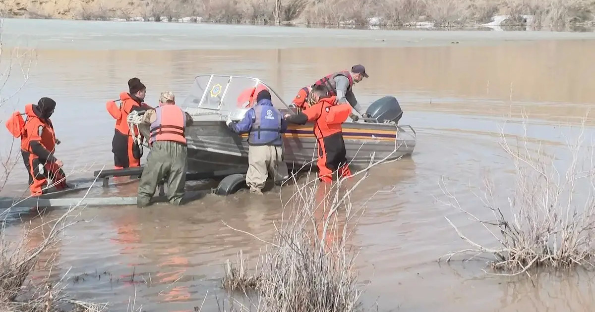 Ұлытау облысында 350-ге жуық киіктің өлексесі табылды