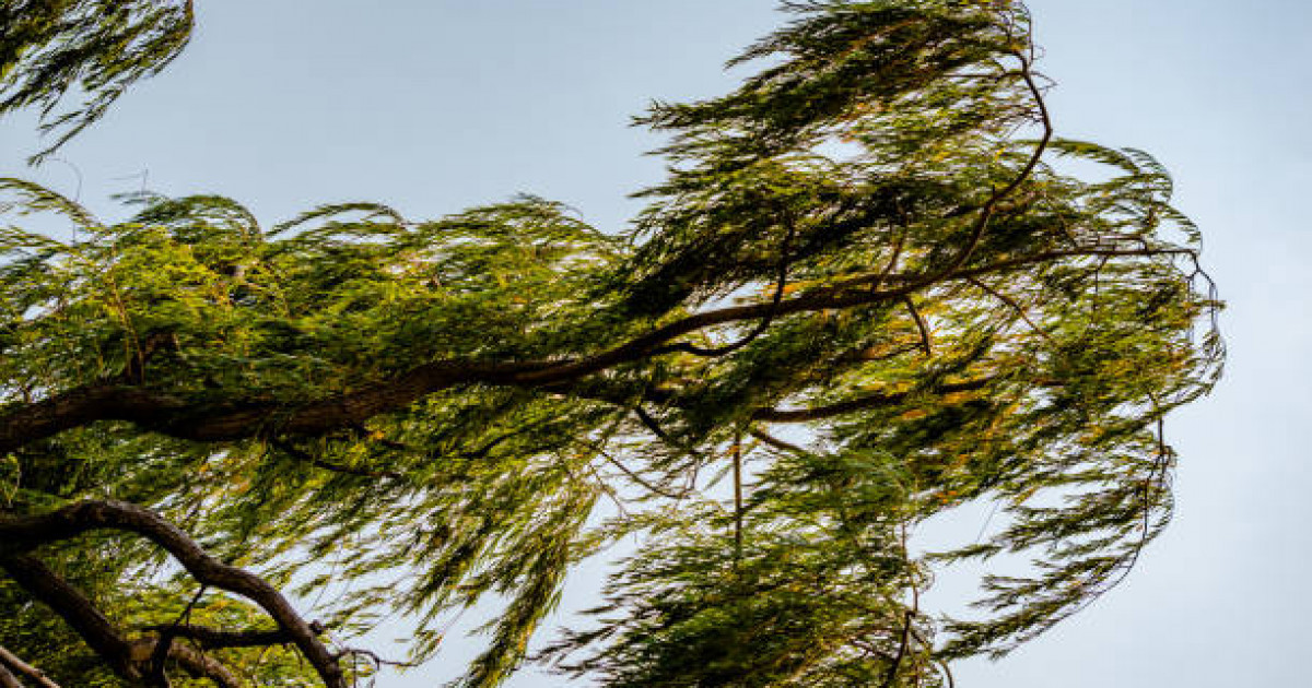 Жел, найзағай: еліміздің бірқатар өңірінде дауылды ескерту жарияланды