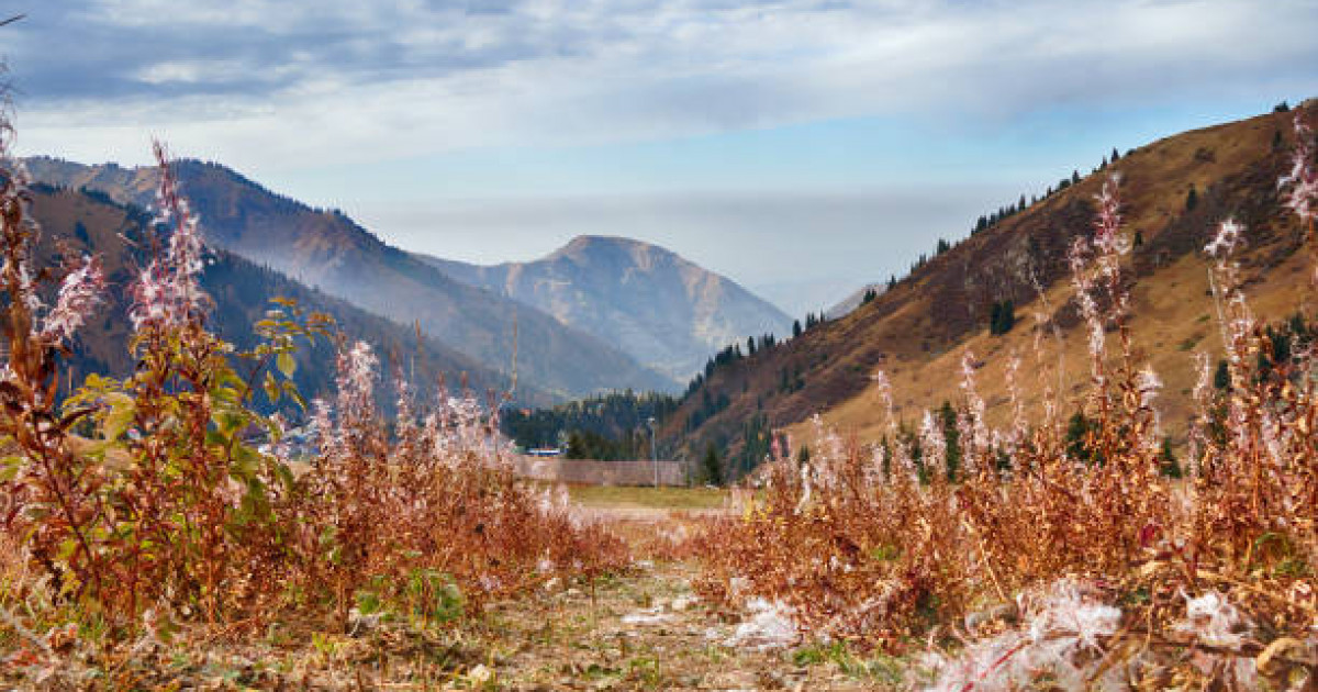 Алматы тауларында студент қыз қайтыс болды