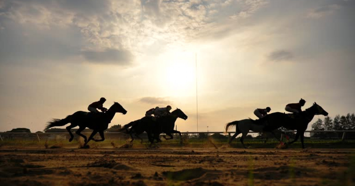 Ертең Астанада республикалық бәйге өтеді