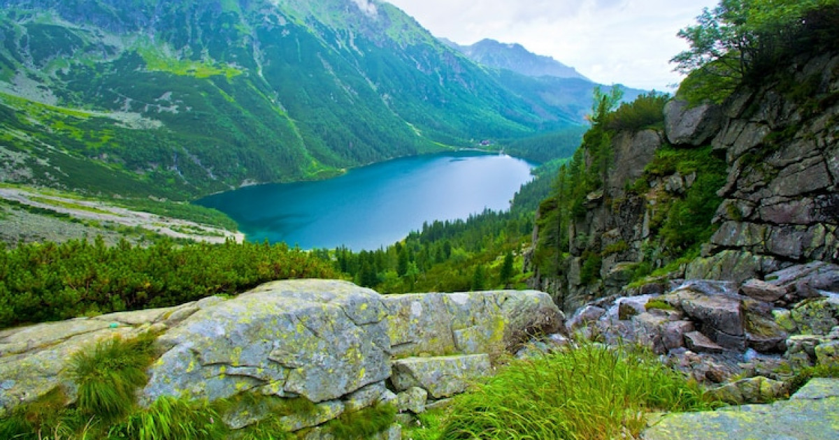 Табиғатты қорғау мен климаттық қауіпсіздікке бағытталған заң күшіне енді