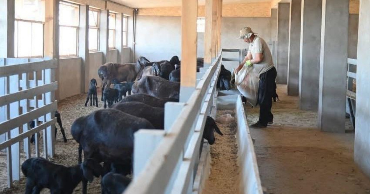 Агроөнеркәсіп кешеніне қолдау зор