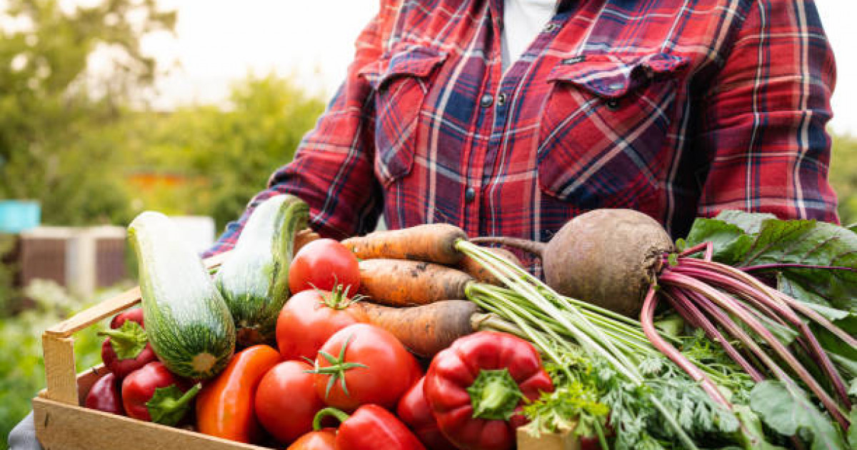 Астанада ауыл шаруашылығы жәрмеңкелерінің маусымы ашылады