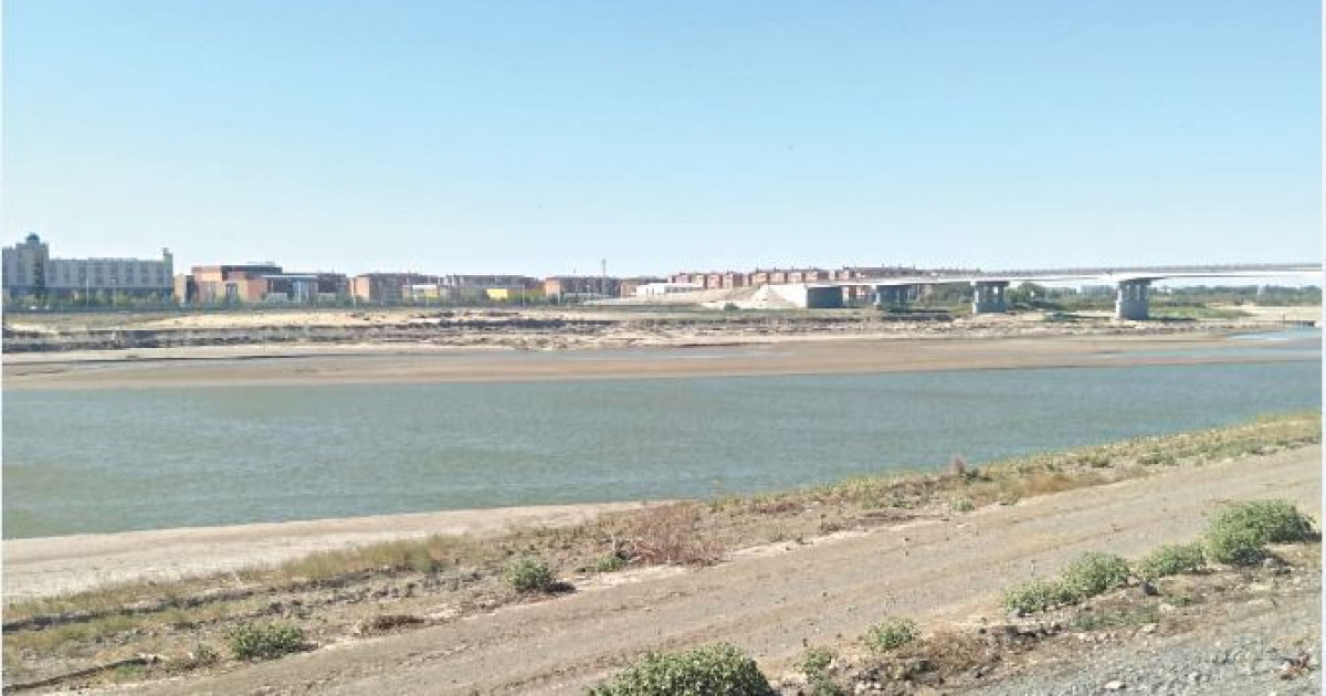 Дарияда дәрмен жоқ,  күріштің халі қалай?