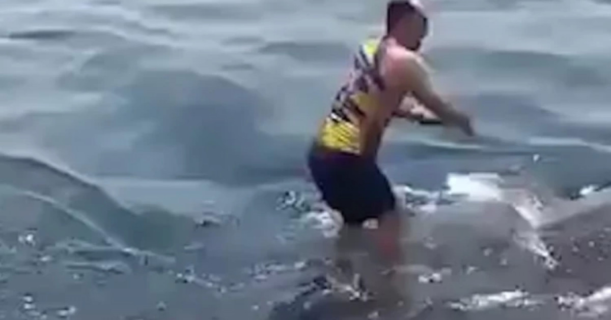 Иранда ер адам алып акуланың үстіне секіріп мінді