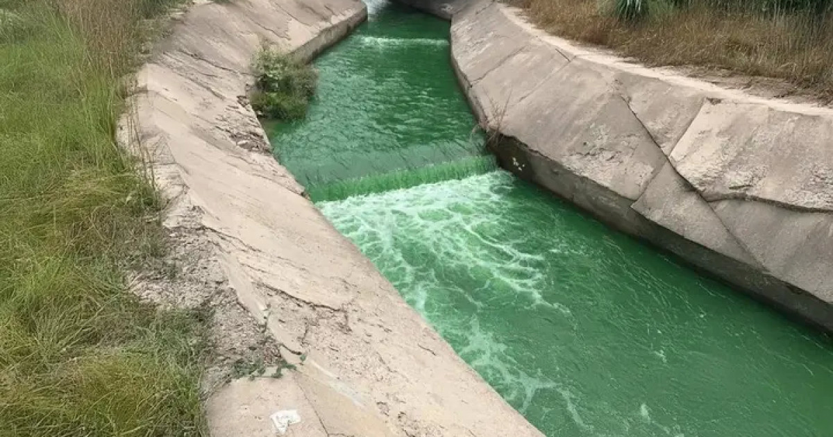 Қарғалы өзені неге жасыл түске боялды?