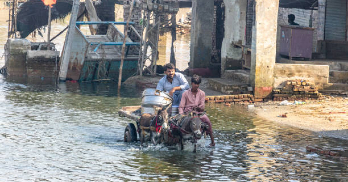 Пәкістандағы су тасқыны: қаза тапқандар саны 330-ға жетті