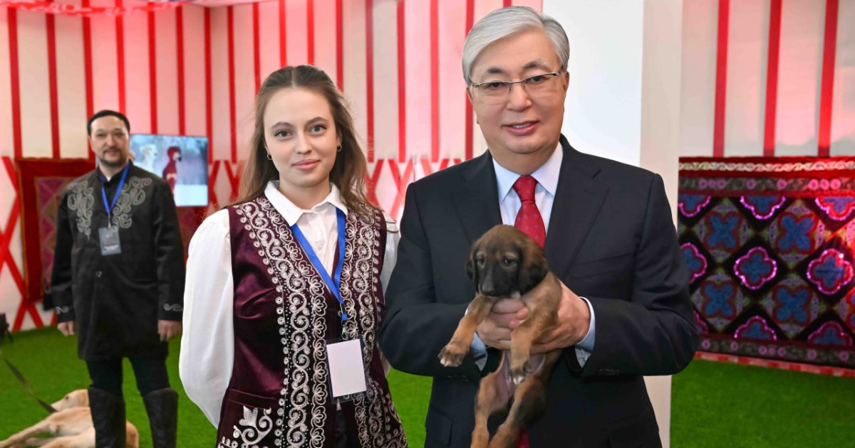 Президент тазы мен төбетті ұлттық бренд ретінде кеңінен насихаттау жөнінде тапсырма берді