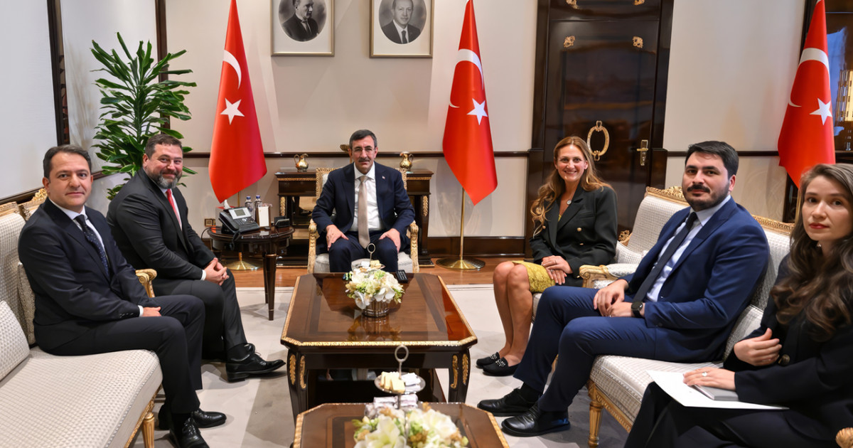 Түркия вице-президенті Джевдет Йылмаз Михаил Ломтадземен кездесті