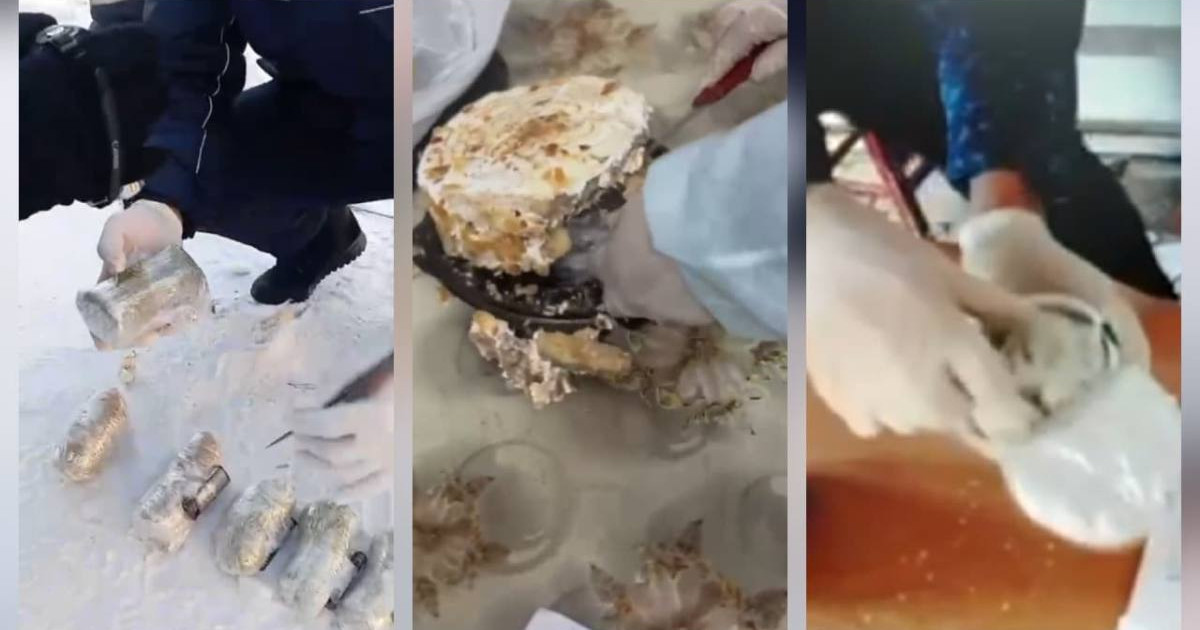 Түрмеге 422 телефон алып кірмек болған