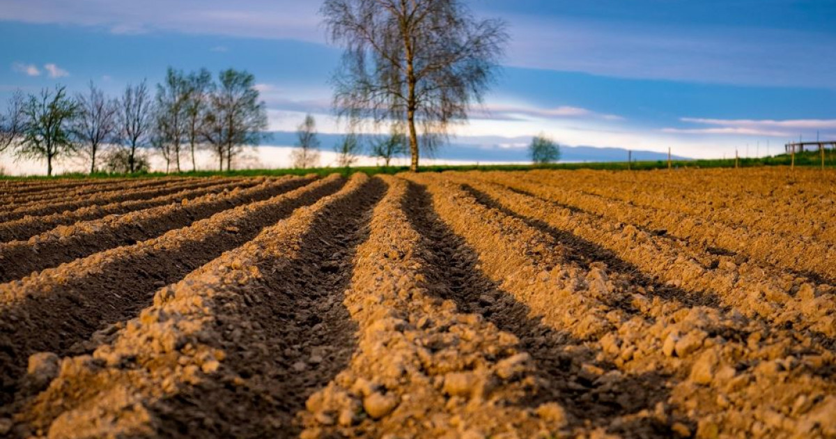 Жердің де сұрауы бар