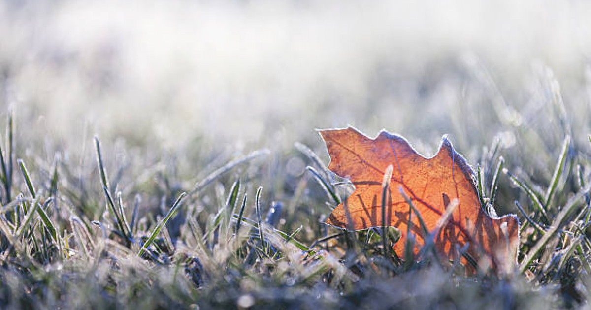2-4 градус суық болады, үсік жүреді: 30 қыркүйекке арналған ауа райы болжамы