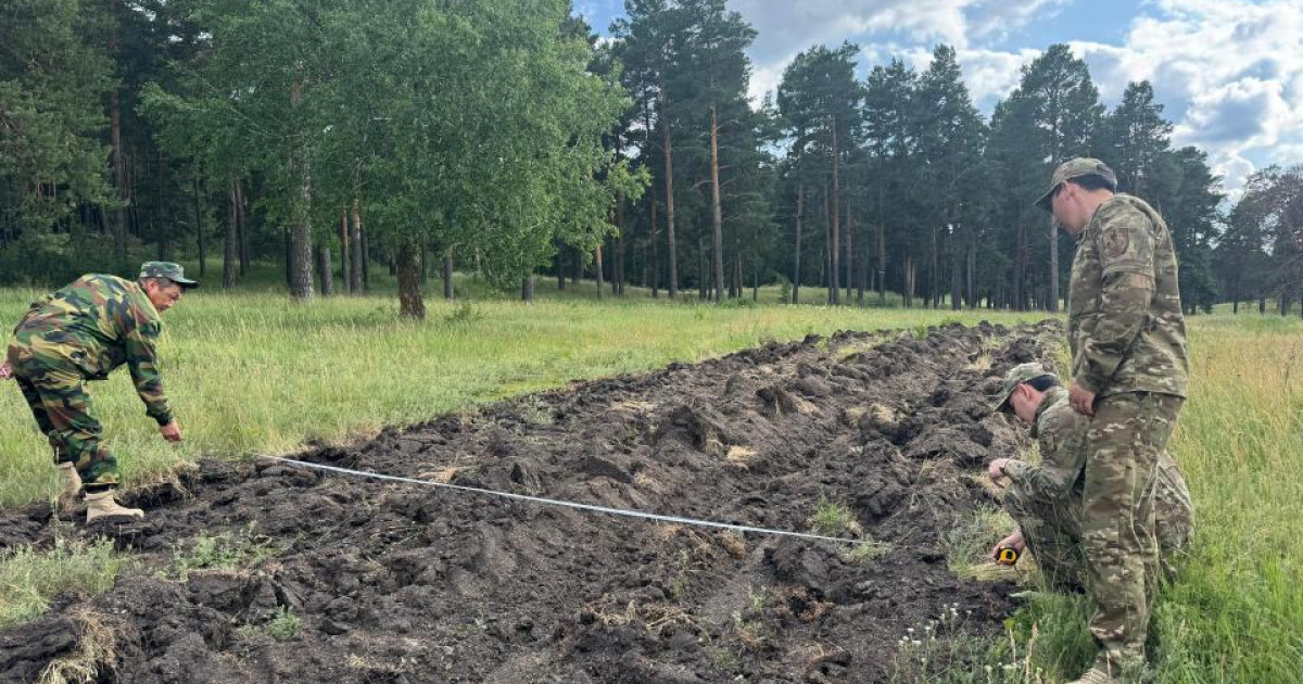 Дала өртіне байланысты 4 мыңнан астам адам жауапқа тартылды