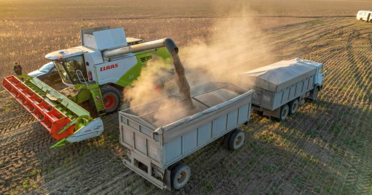 Елімізде 11,6 миллион тонна астық жиналып үлгерді