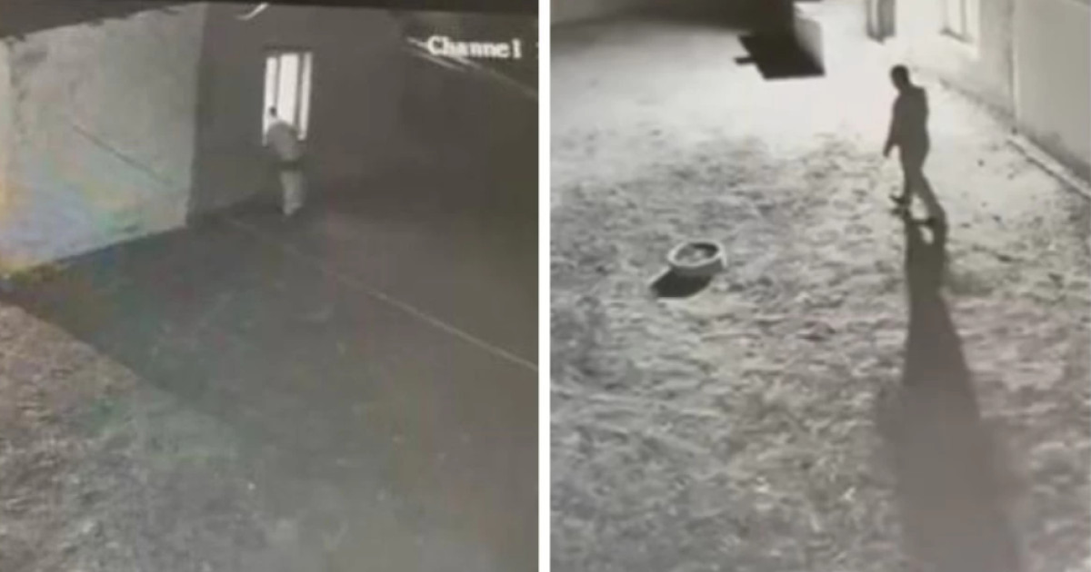 «Ішкиімсіз барып, терезеден аңдыған»: Атырау облысында әйелді қорлаған еркекке іс қозғады (ВИДЕО)