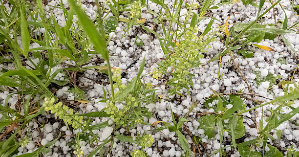 Қазақстанның оңтүстігінде күн суытып, қар жауады