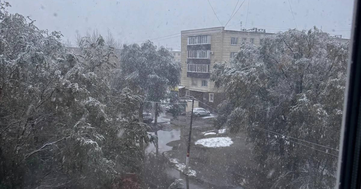 Қостанай облысында қар жауды