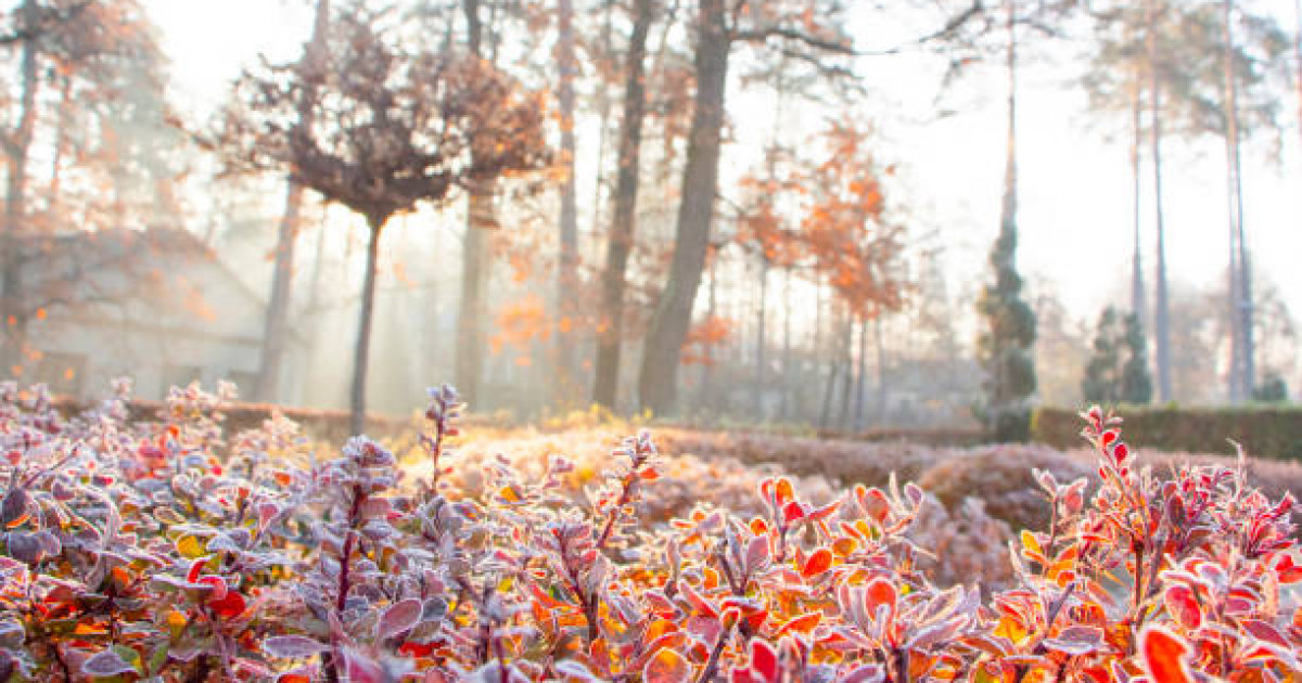 Көктайғақ болады, үсік жүреді: 1 қазанға арналған ауа райы болжамы