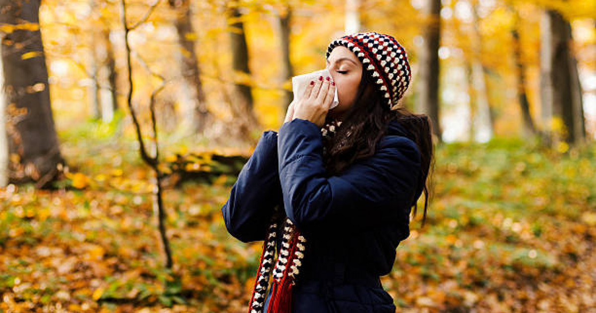 Күз айларында аллергиядан қалай қорғануға болады?
