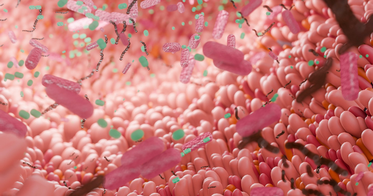 Майды «магнит» сияқты жабыстырып, ағзадан шығарып, семіздіктен арылуға көмектесетін микрогранула жасалды