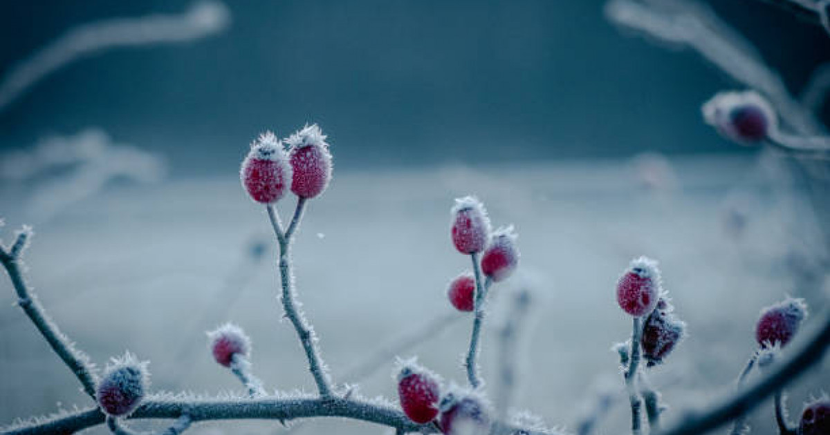 Үсік жүреді, қар жауады: 20 қыркүйекке арналған ауа райы болжамы