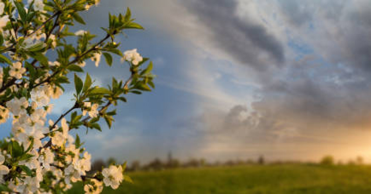 Үсік жүреді, найзағай ойнайды: 3 қыркүйекке арналған ауа райы болжамы