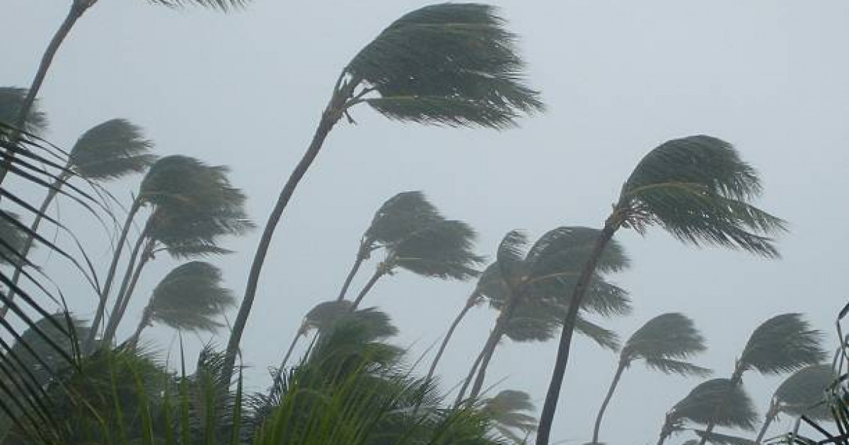 Жаңбыр, бұршақ жауады, дауылды жел тұрады: алдағы үш күнге ауа райы болжамы