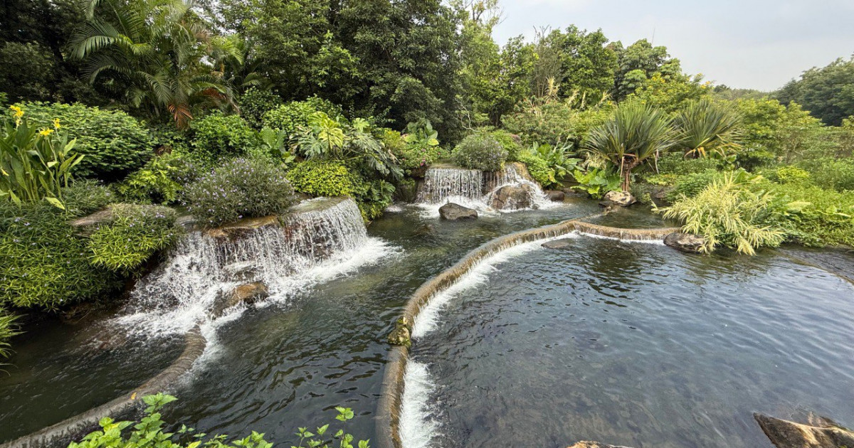 «Жасыл» экономика: Гуанчжоуда кәріз суын тазартып, бау-бақша cуаруға пайдаланады