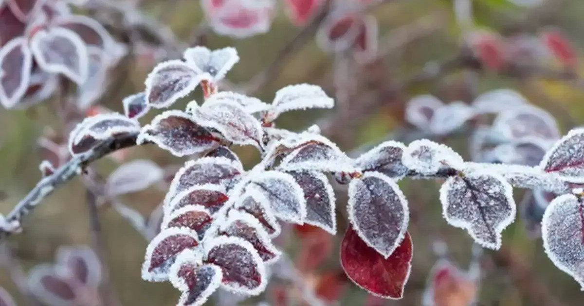 22 қазанда ауа райы қандай болады?