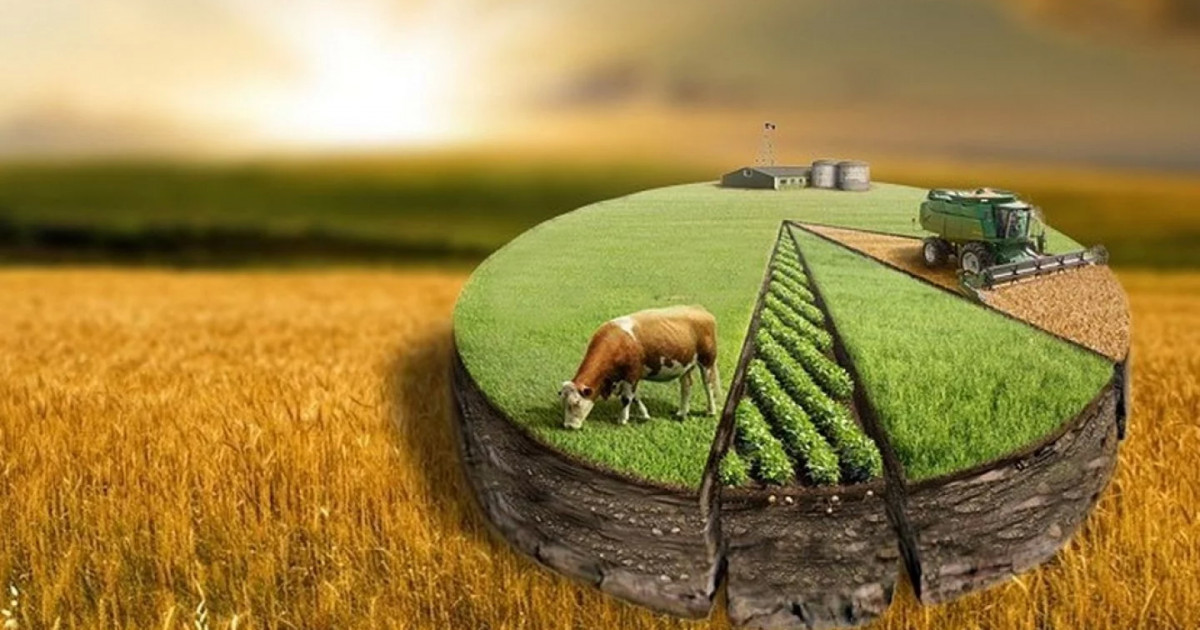 Алматыда қаланың элиталық бөлігінде орналасқан 71,9 гектар жер мемлекетке қайтарылды