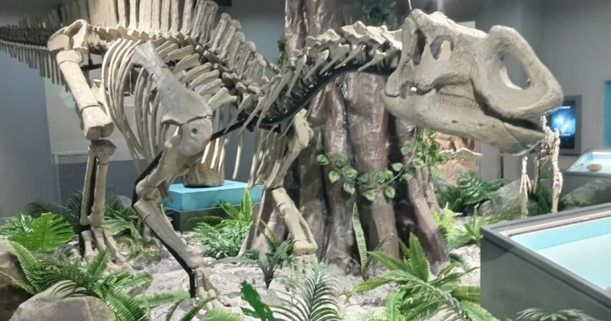 Аралозавр: бүгінге жеткен ежелгі енші