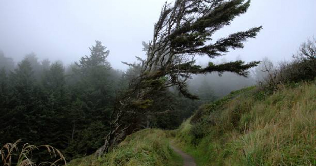 Дауыл тұрады: 8 қазанға арналған ауа райы болжамы