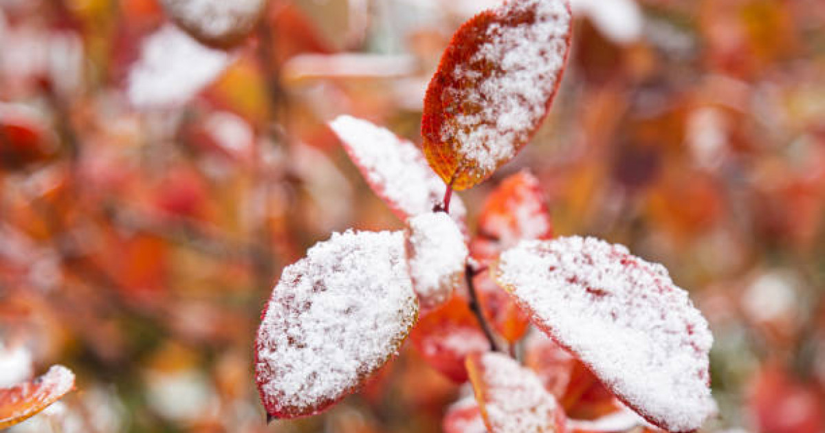 Қар жауып, үсік жүреді: 17 қазанға арналған ауа райы болжамы