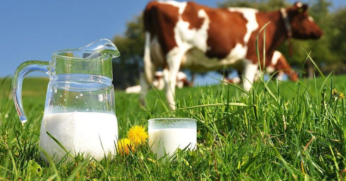 Қаржы бар, құлық жоқ