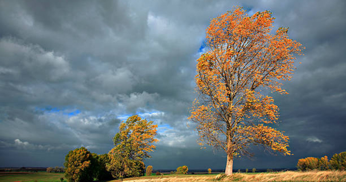 Қазақстан бойынша дауылды ескерту жарияланды