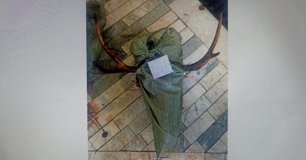 Қостанайда полицейлер заңсыз аң атып жүрген адамды ұстады