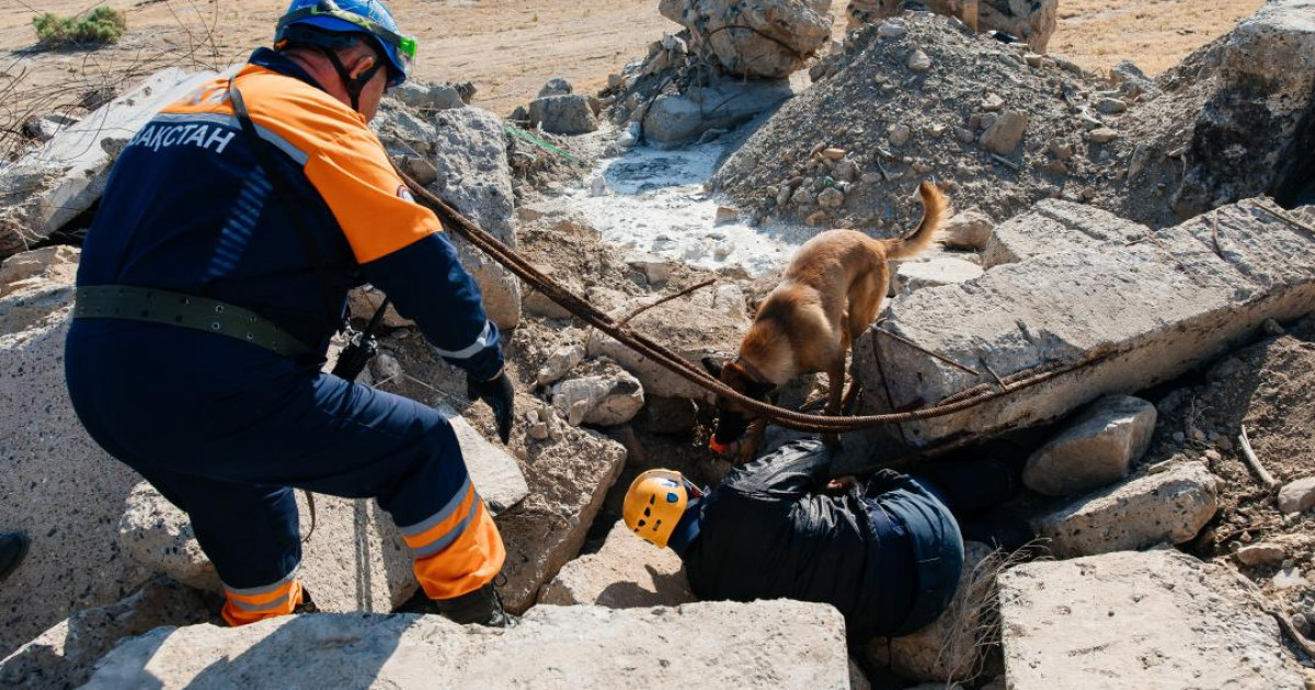Өмір үшін от пен суға түскендер: ТЖМ-нің 30 жылдық жолы