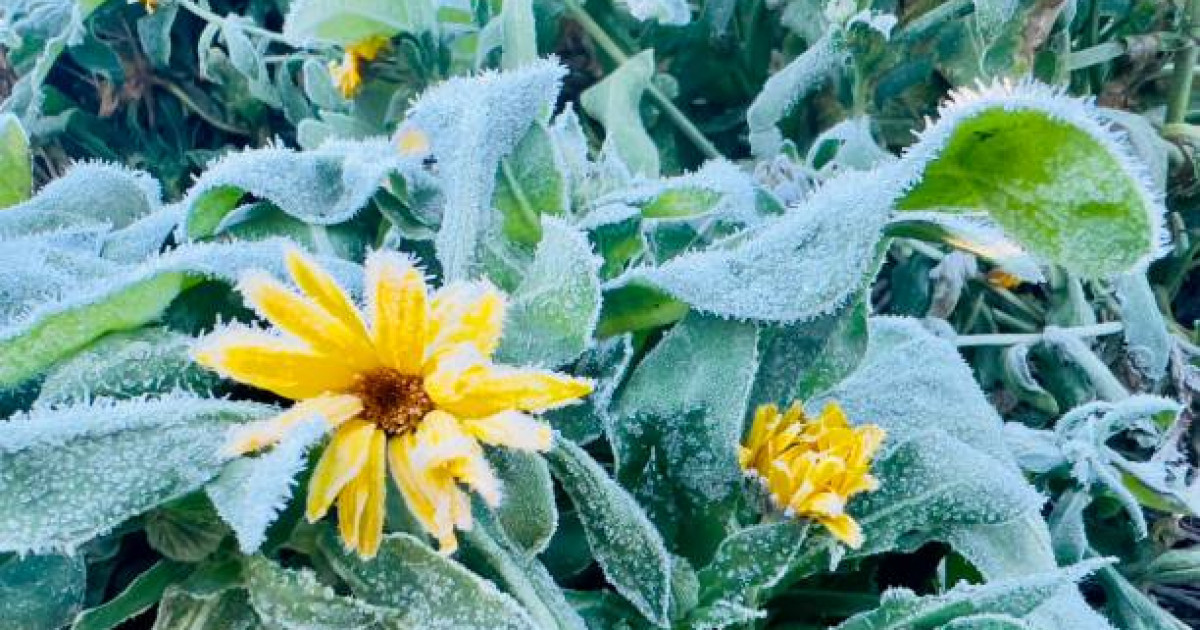 Үсік жүреді, дауыл тұрады: 10 қазанға арналған ауа райы болжамы