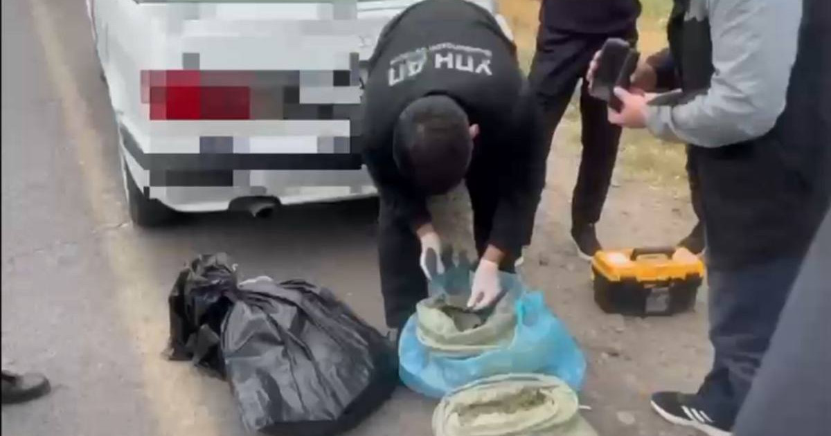 Жамбыл облысында ірі көлемде марихуана тасымалдағандар қолға түсті (видео)