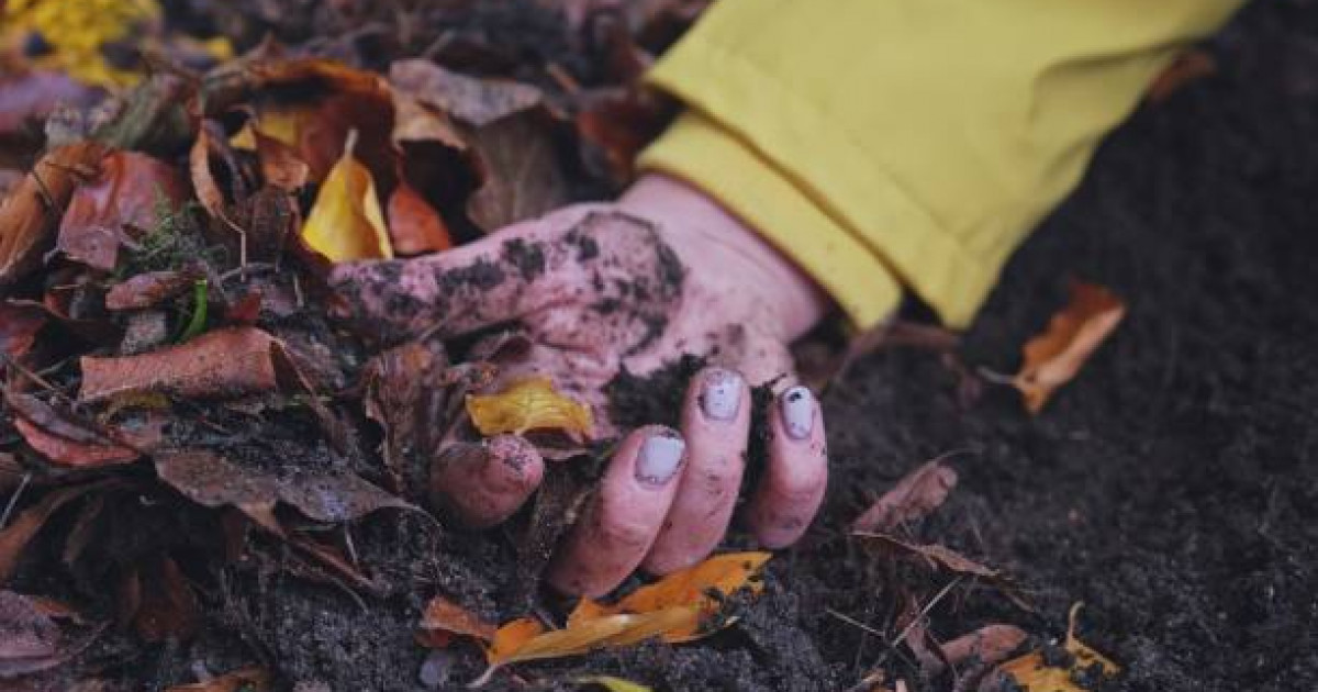 «48 рет пышақ салған»: Ресейде серуенге шыққан жасөспірімнің мәйіті дәретханадан табылды