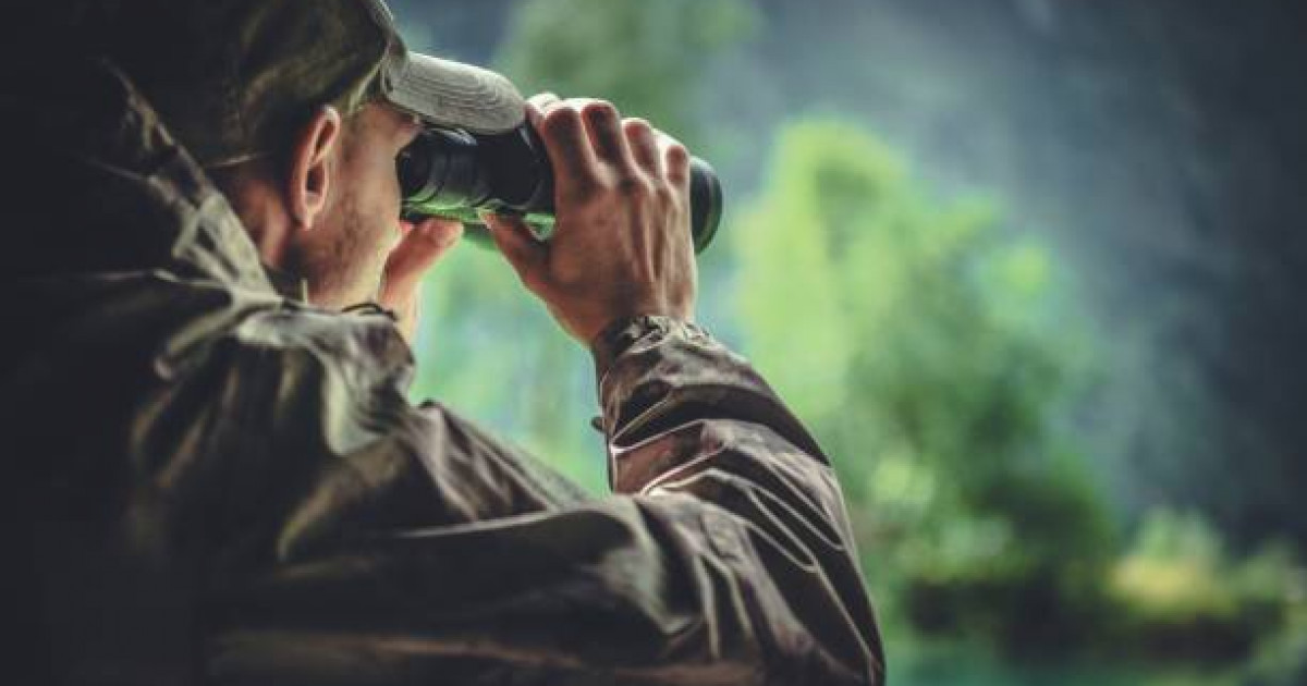 Алматы облысының үш азаматы Қызыл кітапқа енген қарақұйрықты заңсыз аулағаны үшін сотталды