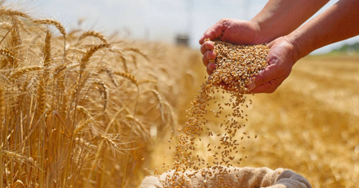 Тоқаев: Әзербайжан басшысына санкцияны алып тастап, тікелей сауда жүргізгені үшін ризашылығымды білдіремін