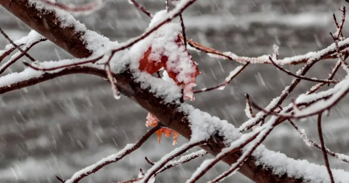 Бүгін Астанада қар жауды