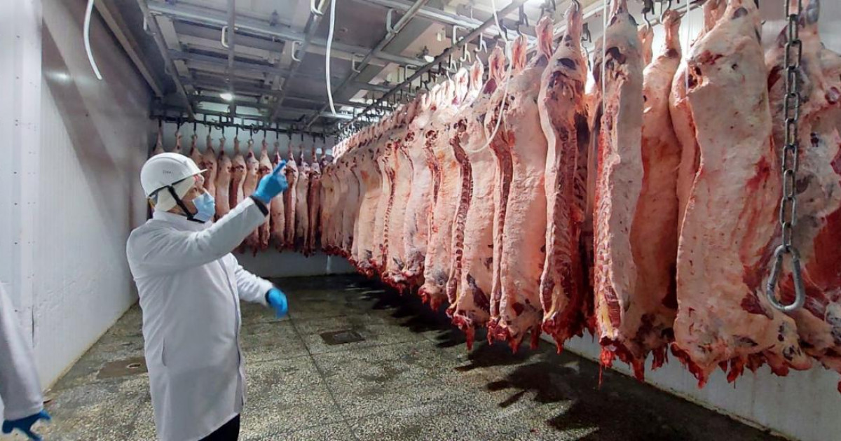 Қазақстандық кәсіпорындар Біріккен Араб Әмірліктерінің импорттаушылары тізіміне кірді