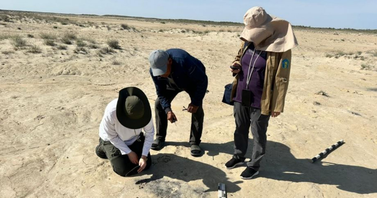 Құнды мұралар көмбесі