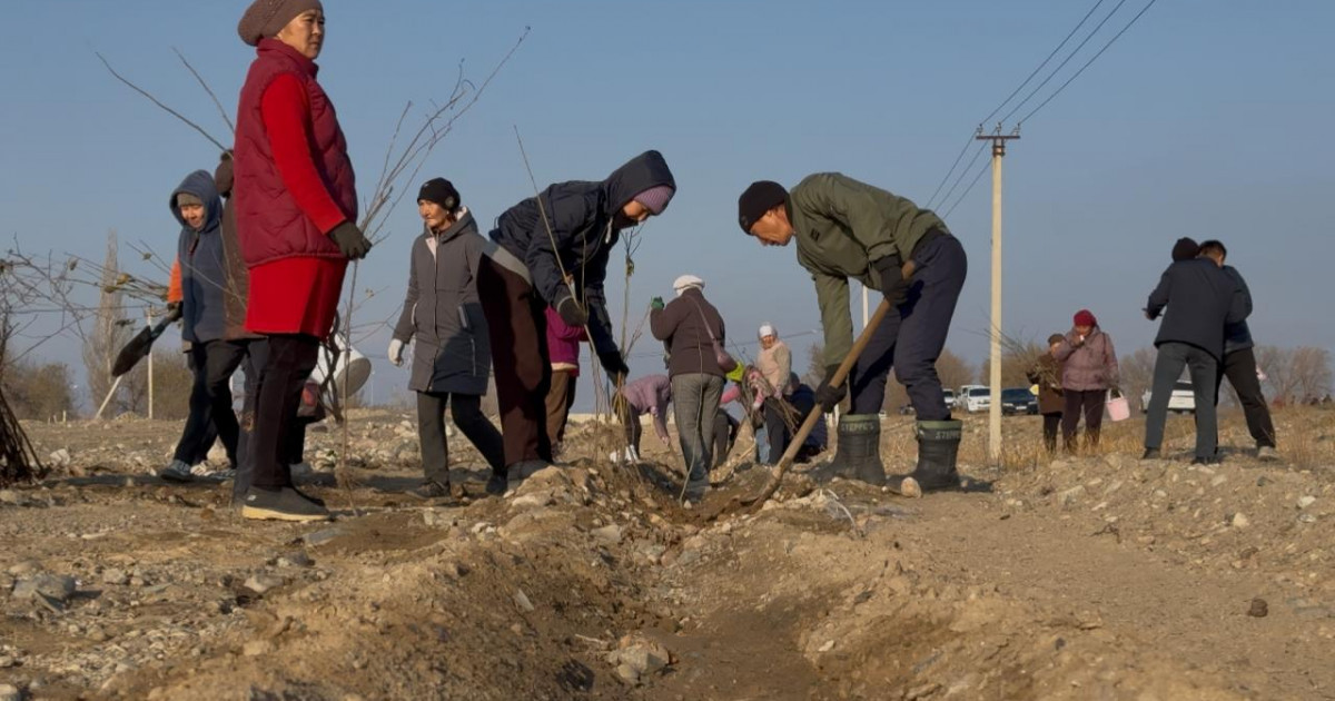 Жаркент өңірінде «Taza Qazaqstan» аясында 5 ауыл жаңғырды