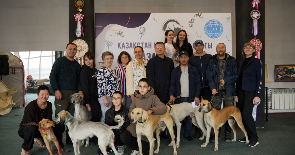 Алматыда Қазақы тазы байқауы өтті