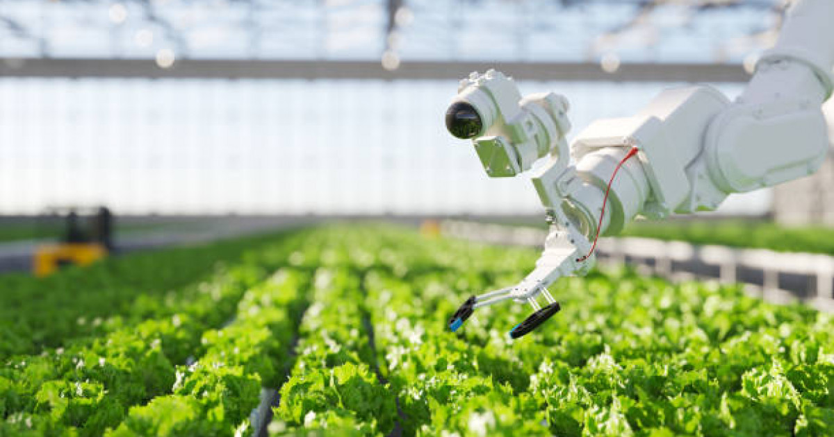 Президент: «Жапонияның су саласын автоматтандыру және цифрландыру тәжірибесіне ерекше қызығушылық танытамыз»