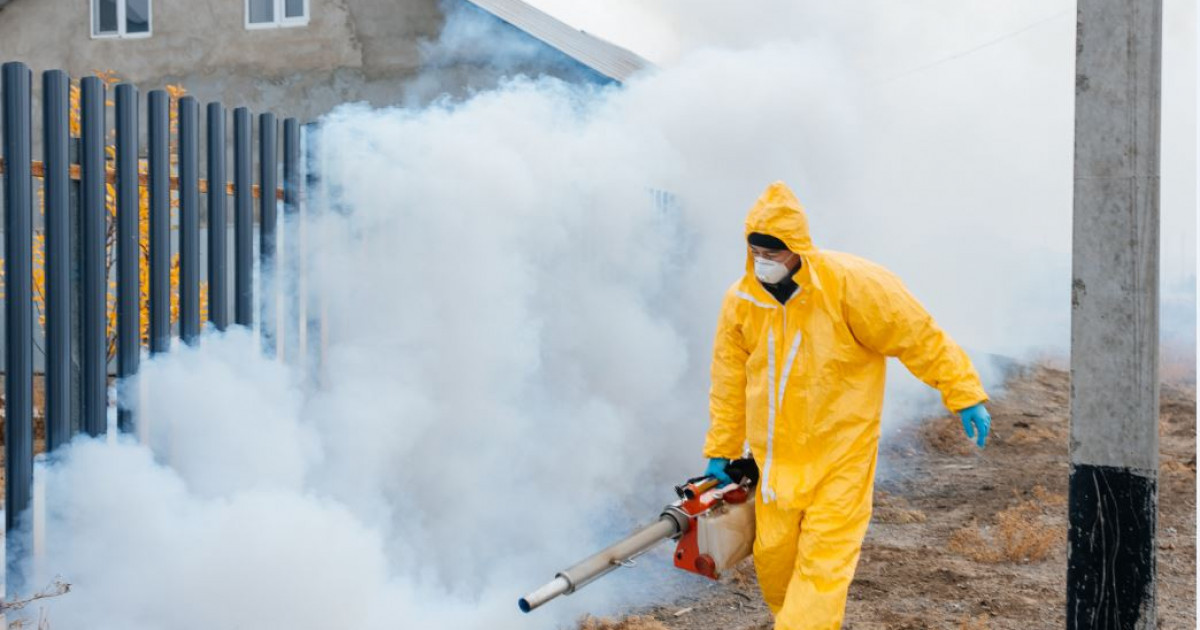 Тышқандар әлекке түсіріп тұр