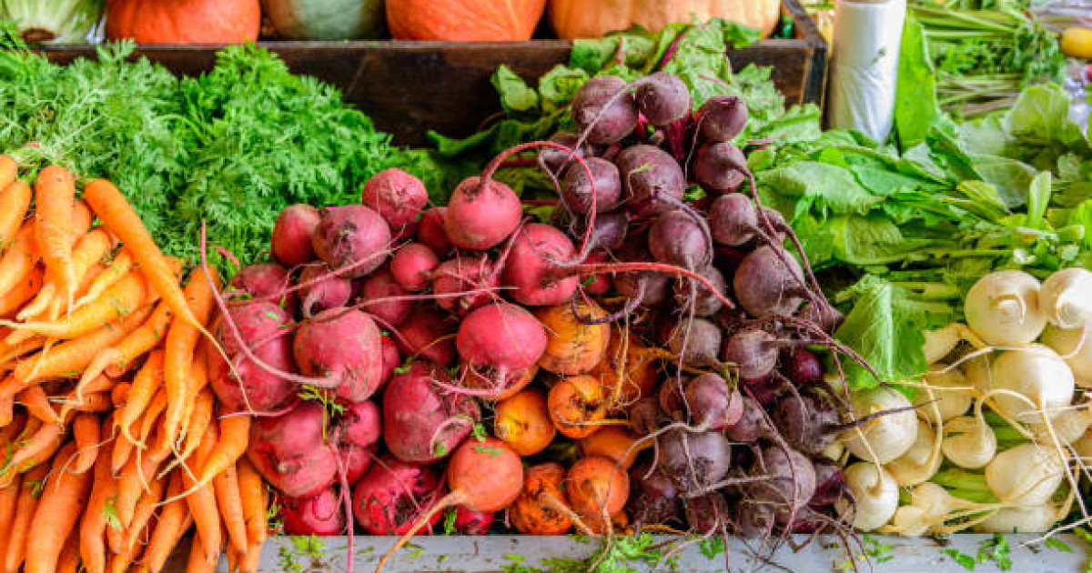 Астанада ауыл шаруашылығы жәрмеңкесі өтеді